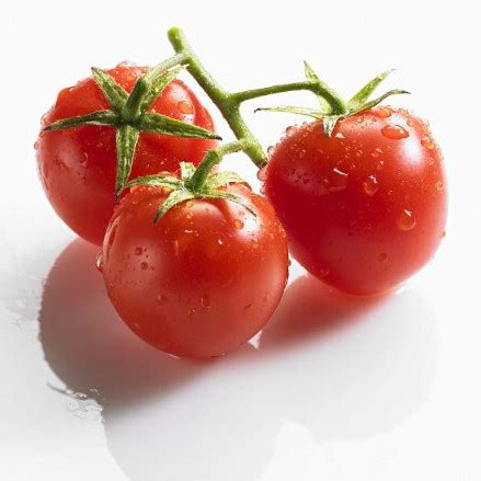 番茄屬性 痼疾有哪些